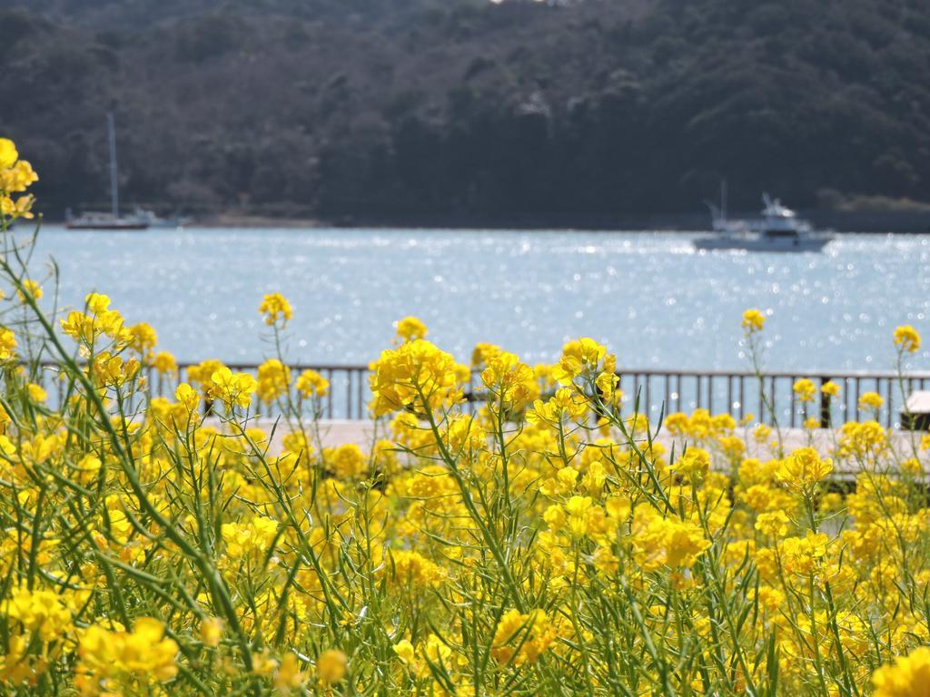 Shimoda Prince Hotel Shizuoka Buitenkant foto